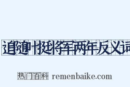 追随叶挺将军两年反义词是什么意思的图片